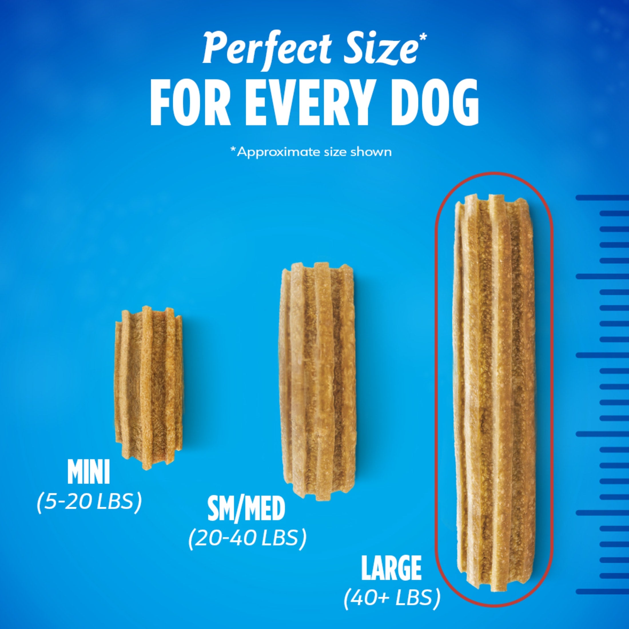 Purina  Daily Oral Care Large Dog Dental Treats with Chicken, 20.7 Oz Pouch (18 Count)